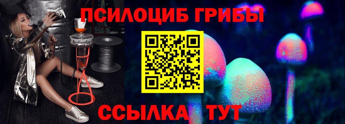 Галлюциногенные грибы Psilocybine cubensis Воткинск
